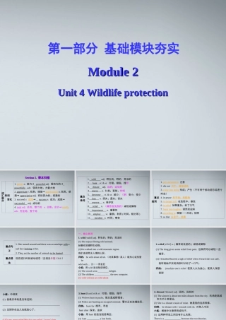 高考英语第一轮复习 第一部分课文 Module 2 Unit 4 Wildlife protection课件