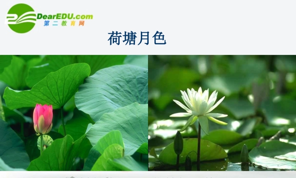 高中语文 第四专题之(荷塘月色)说课课件 苏教版必修2 课件
