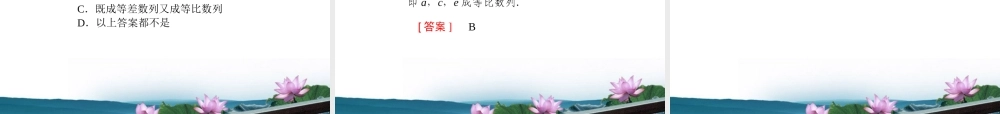 高考数学总复习 3.3等比数列课件 文 新人教版B版 课件