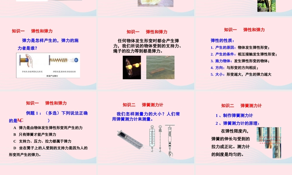 春八年级物理下册 7.3弹力 弹簧测力计课件1 (新版)教科版 课件