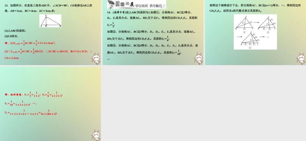 秋八年级数学上册 第13章 三角形中的边角关系、命题与证明 13.1 三角形中的边角关系(第3课时)课件 (新版)沪科版 课件