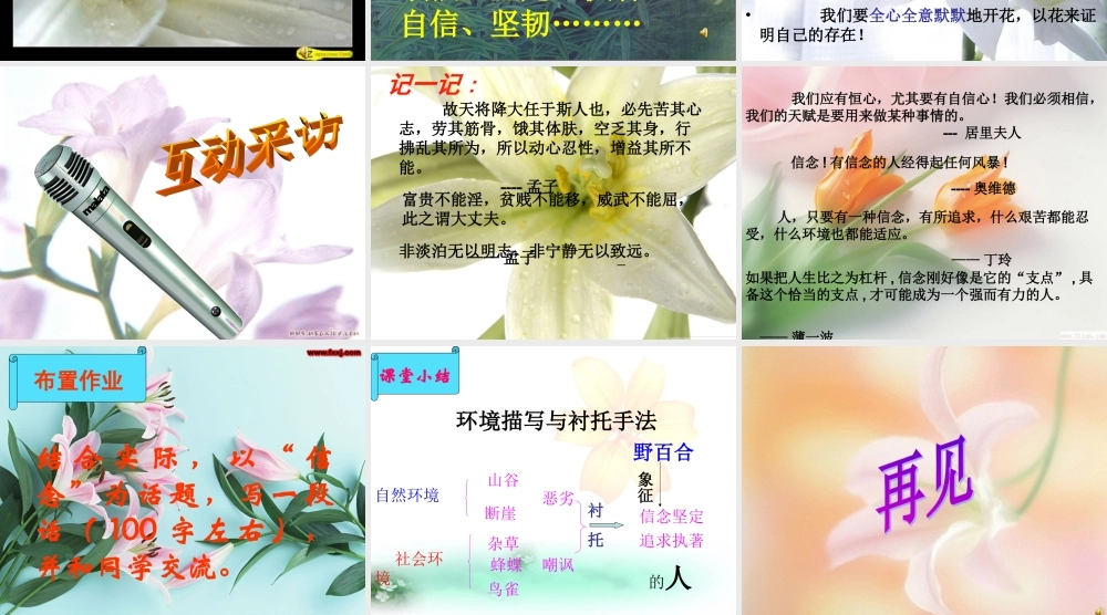 《心田上的百合花开》课件