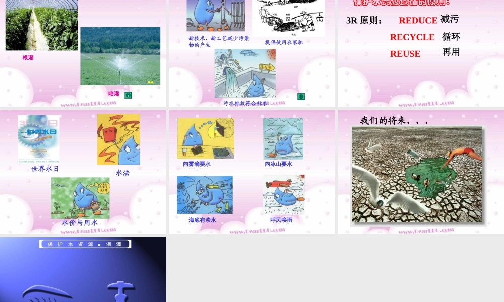 爱护水资源 新课标 人教版 课件