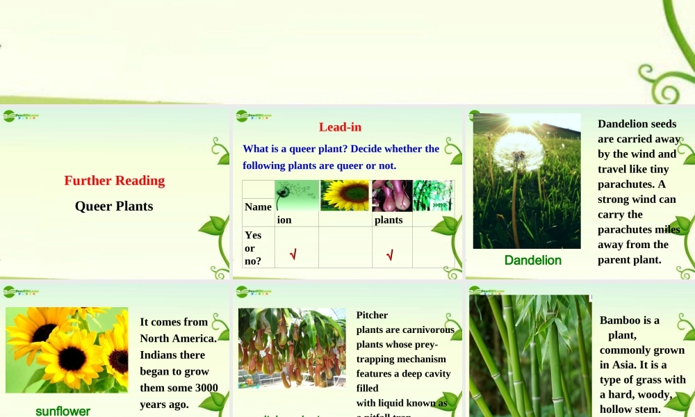 高中英语 Unit1Further reading课件 重大版必修4 课件