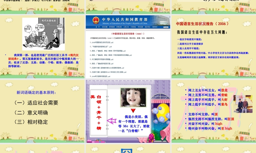 高中语文 (新词新语与流行文化)课件1 新人教版必修1 课件