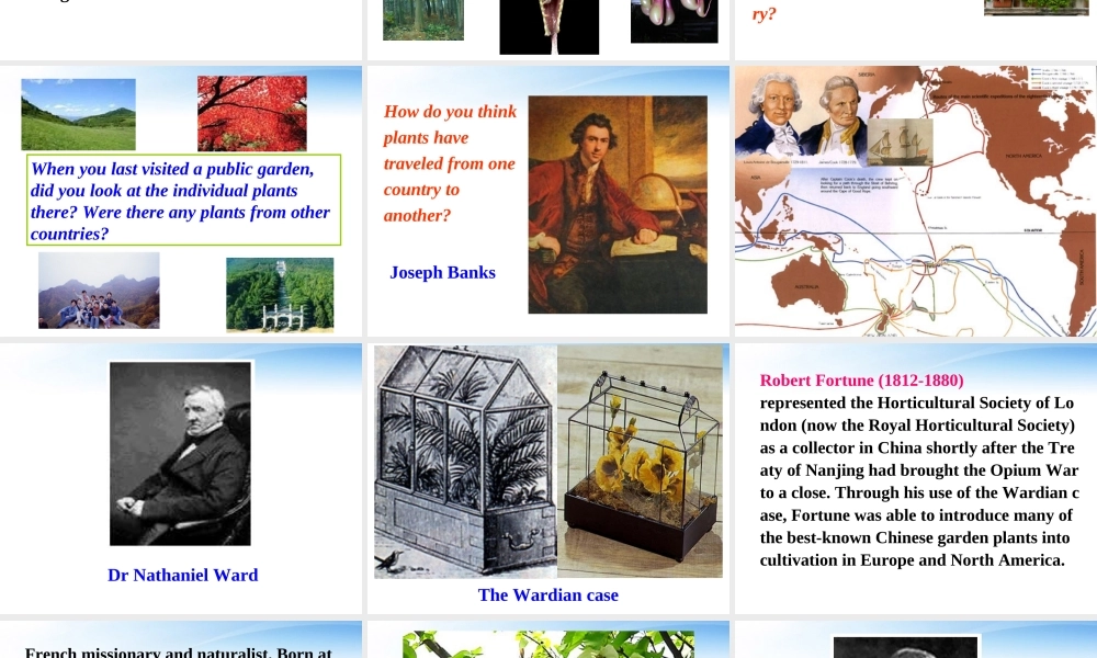高中英语 Unit4(Exploring plants)Reading课件(1) 新人教版选修9 课件