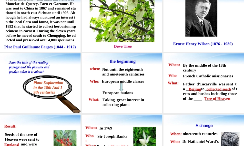 高中英语 Unit4(Exploring plants)Reading课件(1) 新人教版选修9 课件