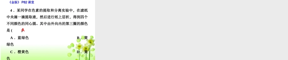 活动：光合色素的提取和分离