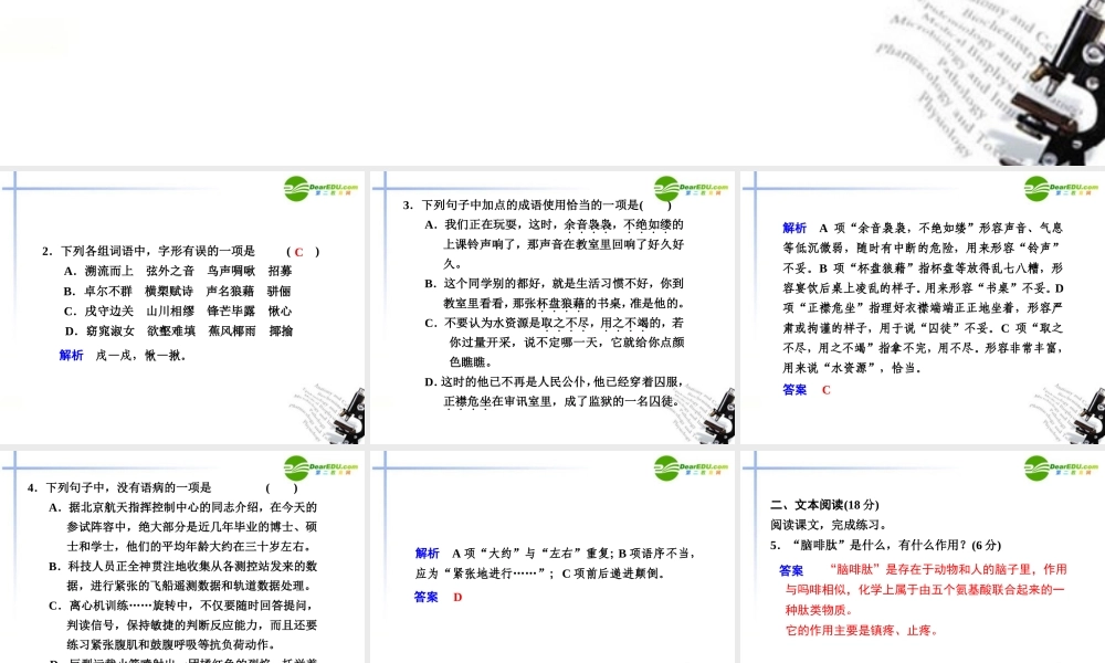 高中语文 痛与不痛的秘密2课件 语文版必修3(高二) 课件