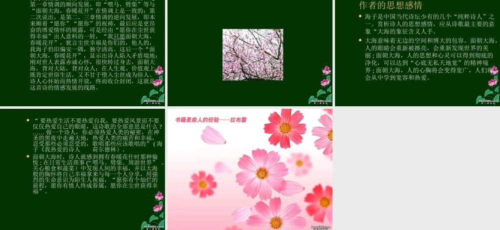 高中语文面朝大海,春暖花开课件1 人教版 课件