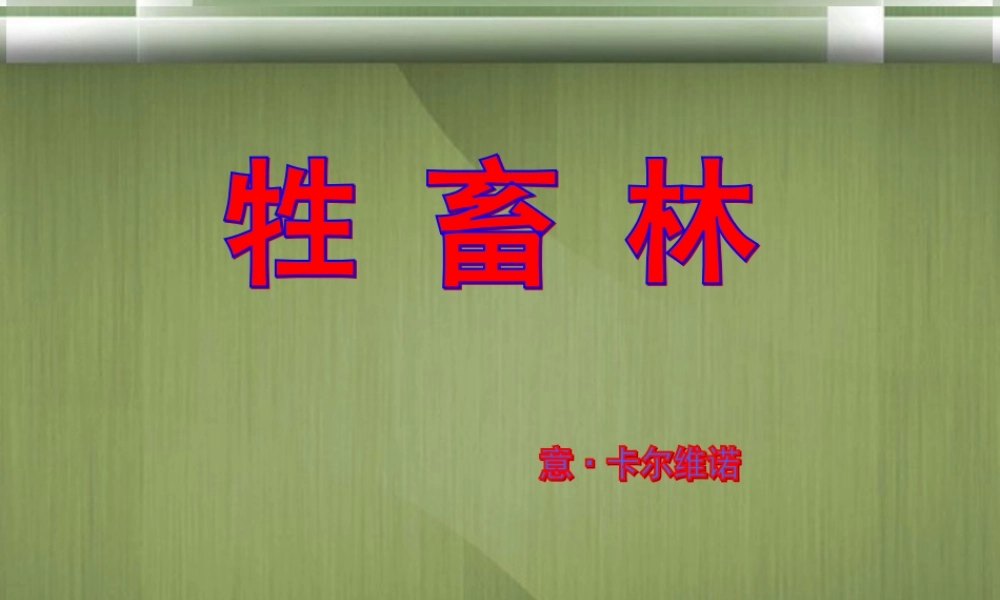 高中语文(牲畜林)课件6 新人教版选修 课件