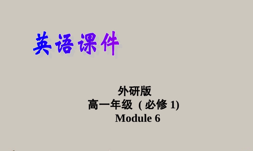 高中英语 Module 6 The Internet and Telecommuniation Cultural corner精品课件 外研版必修1 课件