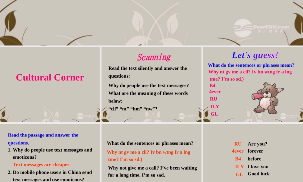 高中英语 Module 6 The Internet and Telecommuniation Cultural corner精品课件 外研版必修1 课件