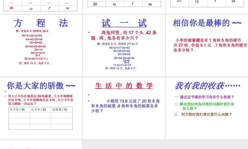 鸡兔同笼五(上)