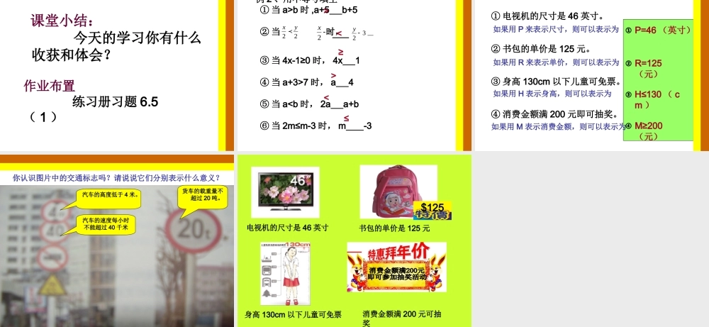 6.5不等式及其性质