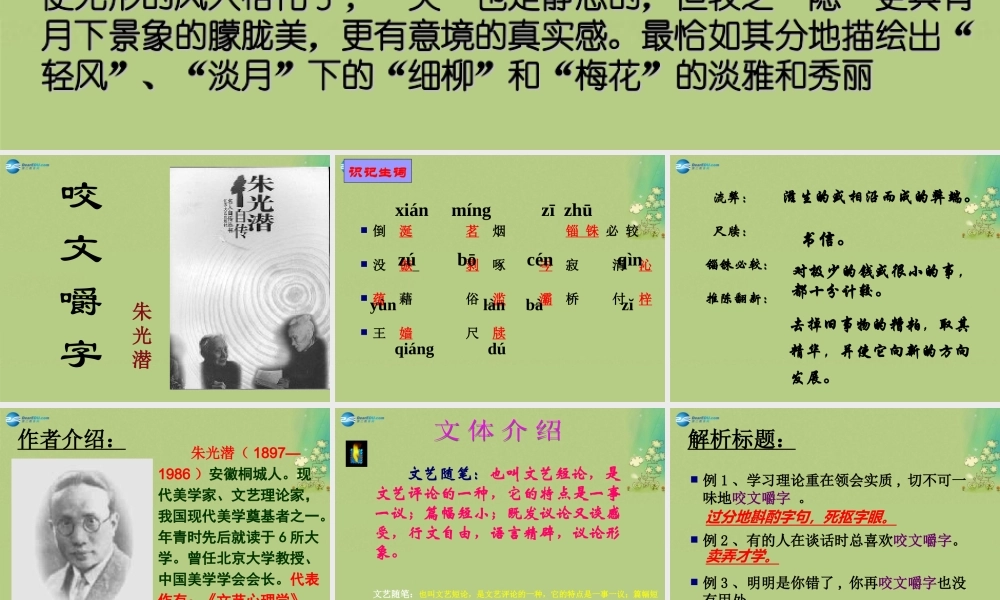 高中语文 咬文嚼字课件 新人教版必修5 课件