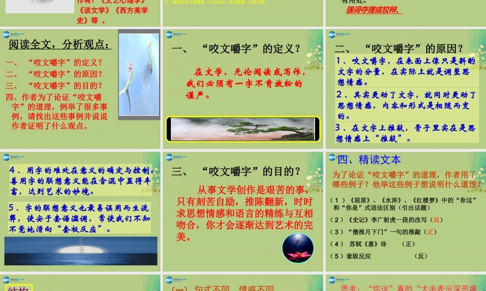 高中语文 咬文嚼字课件 新人教版必修5 课件