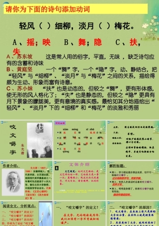 高中语文 咬文嚼字课件 新人教版必修5 课件