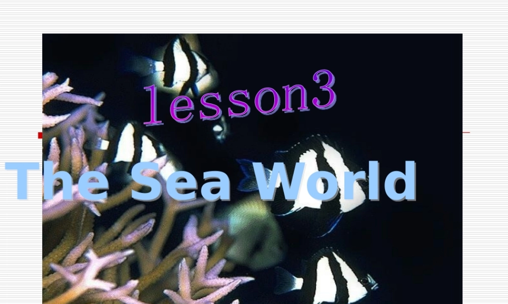 高中英语：Unit7(The Sea-lesson3 The Sea world)复习课件北师大版必修3 课件