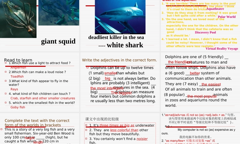 高中英语：Unit7(The Sea-lesson3 The Sea world)复习课件北师大版必修3 课件