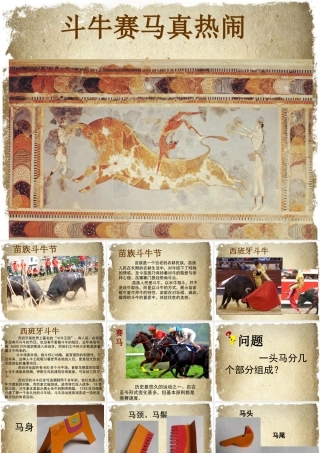 《斗牛赛马真热闹》课件