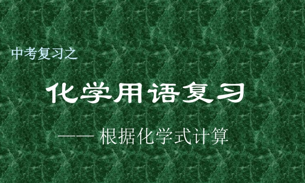 浙江省中考复习之化学用语复习 根据化学式计算 浙教版 试题