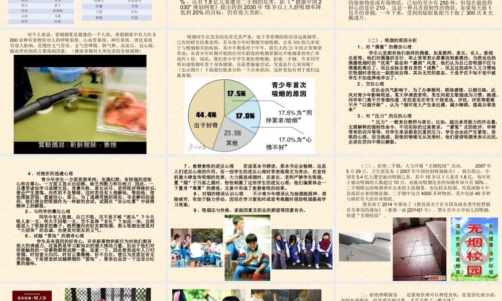 拒绝吸烟、酗酒