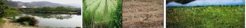 高三语文山水田园诗鉴赏上课实用课件苏教版选修 课件