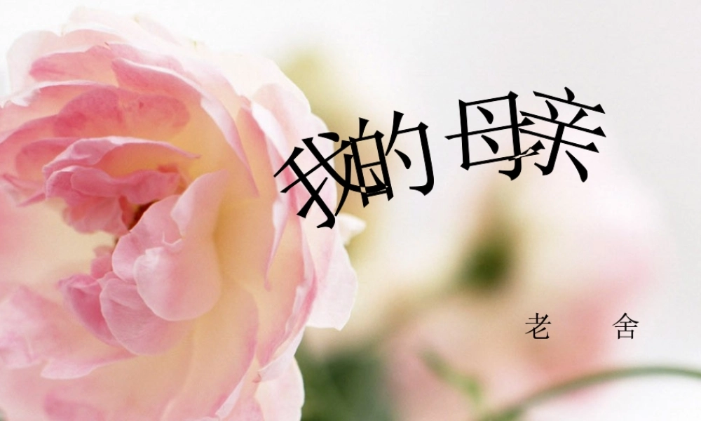 高中语文 第一单元第一课我的母亲说课稿课件 粤教版必修2 课件