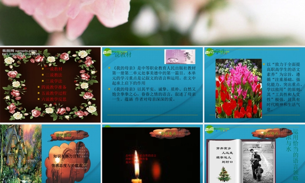 高中语文 第一单元第一课我的母亲说课稿课件 粤教版必修2 课件