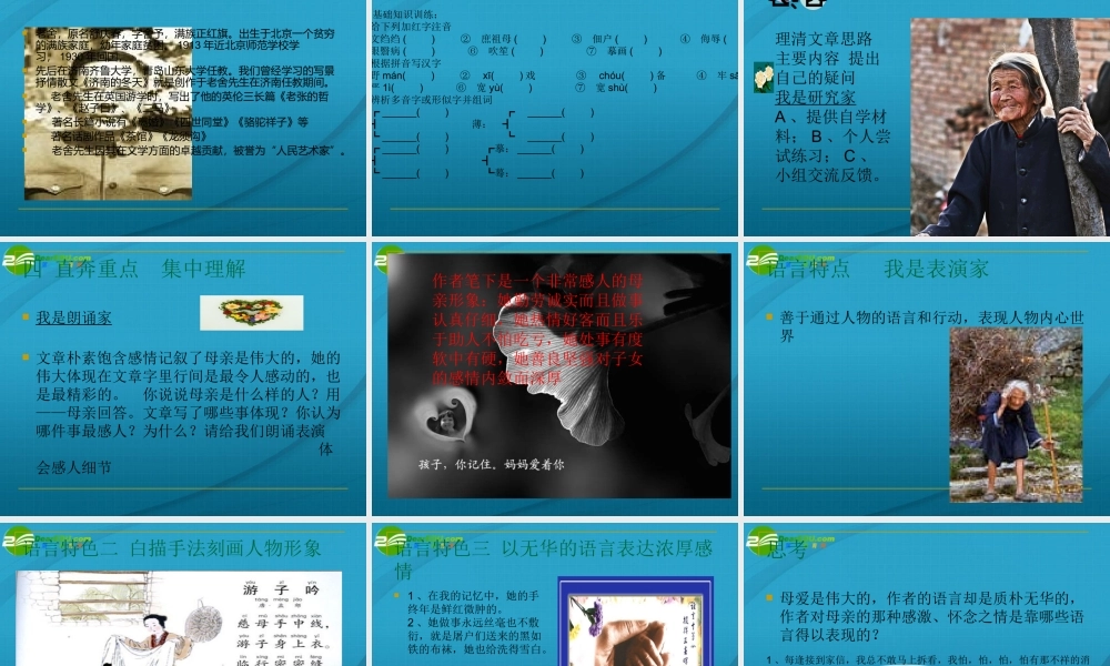 高中语文 第一单元第一课我的母亲说课稿课件 粤教版必修2 课件