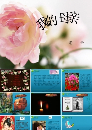 高中语文 第一单元第一课我的母亲说课稿课件 粤教版必修2 课件