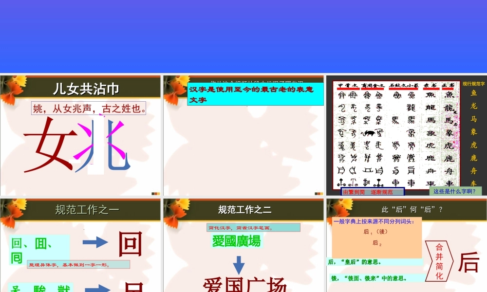 高中语文 汉字的规范与简化课件  人教版选修(方块的奥妙) 课件