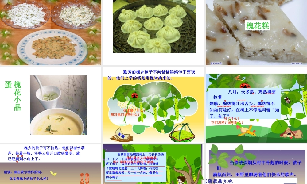 人教版小学语文三年级上册《槐乡的孩子》PPT课件