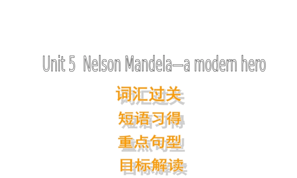 高中英语 Unit5 Nelson Mandela-a modern hero单元复习优质课件 新人教版必修1 课件