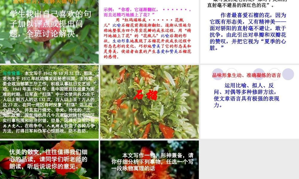 《石榴》课件
