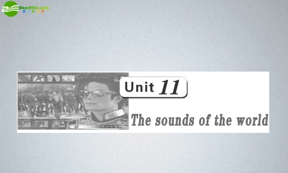 高三英语一轮复习 Unit11 The sounds of the world课件 大纲人教版 课件
