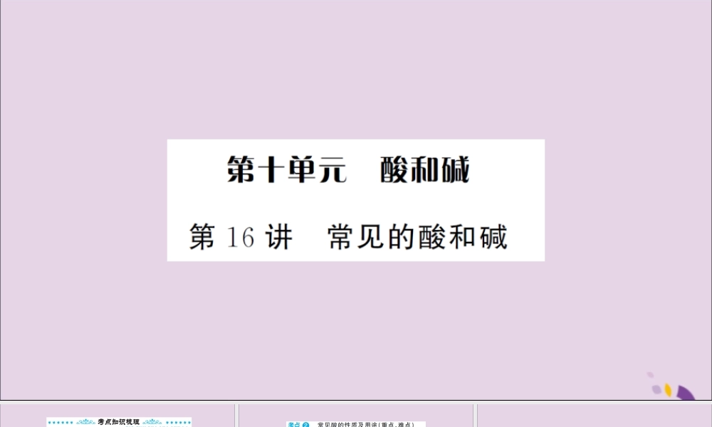湖北省中考化学一轮复习 第十单元 第16讲 常见的酸和碱课件