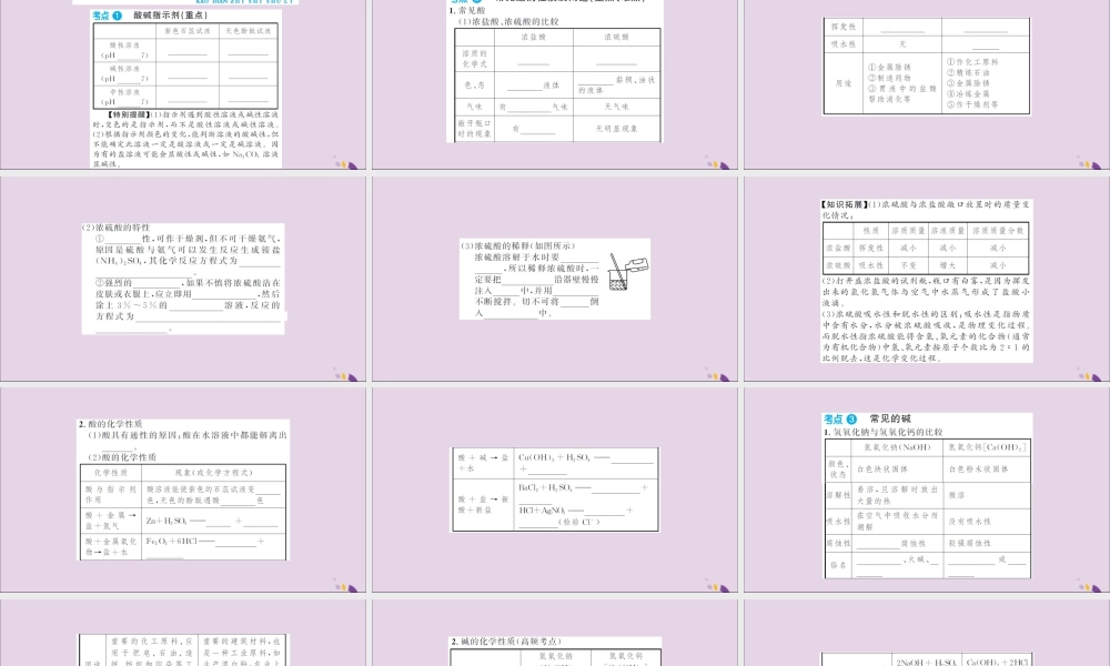 湖北省中考化学一轮复习 第十单元 第16讲 常见的酸和碱课件
