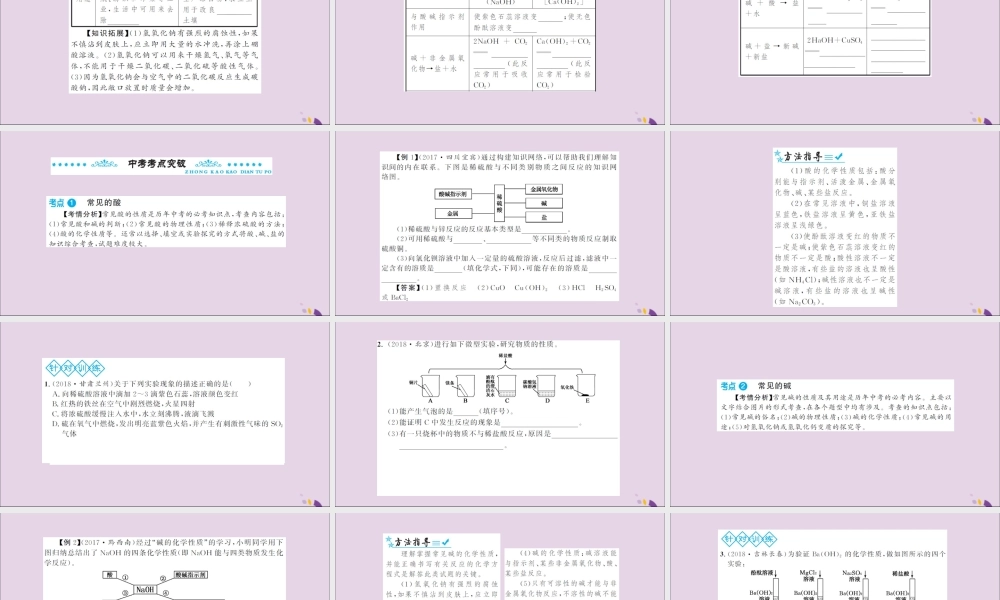 湖北省中考化学一轮复习 第十单元 第16讲 常见的酸和碱课件