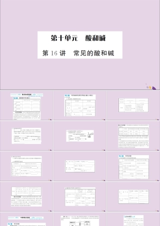 湖北省中考化学一轮复习 第十单元 第16讲 常见的酸和碱课件