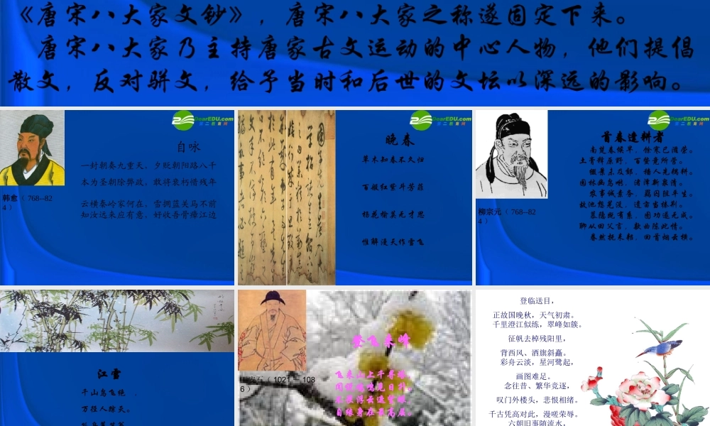 高考语文 唐宋八大家总复习课件 新人教版 课件