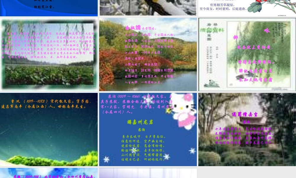 高考语文 唐宋八大家总复习课件 新人教版 课件