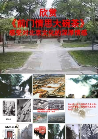 高一语文胡同文化 人教版 课件