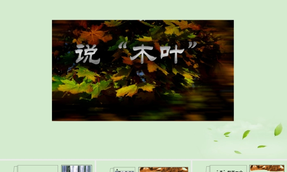 高中语文(第11课 说木叶)课件 新人教版必修5 课件