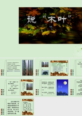高中语文(第11课 说木叶)课件 新人教版必修5 课件