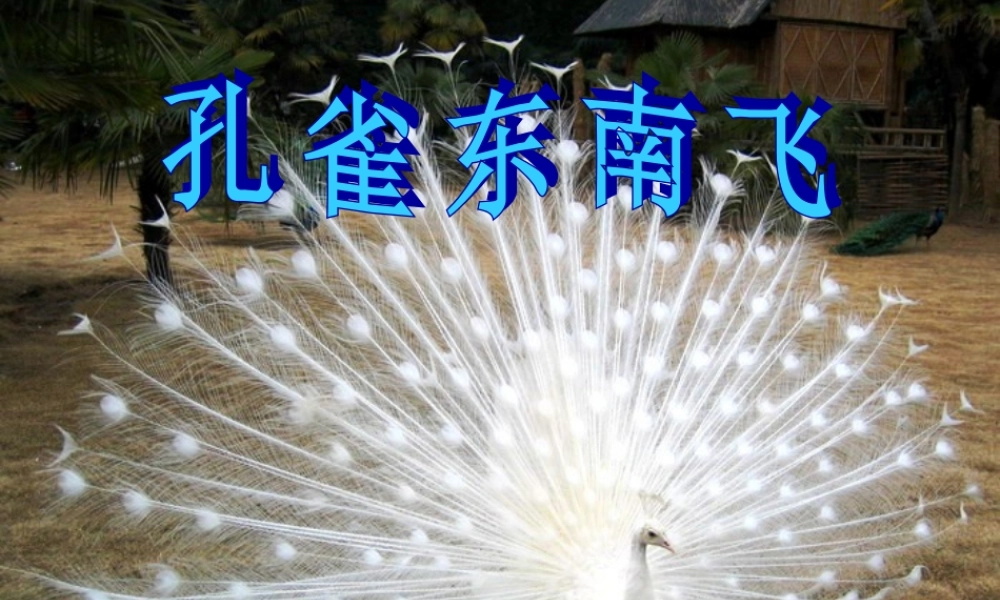 高二语文孔雀东南飞课件