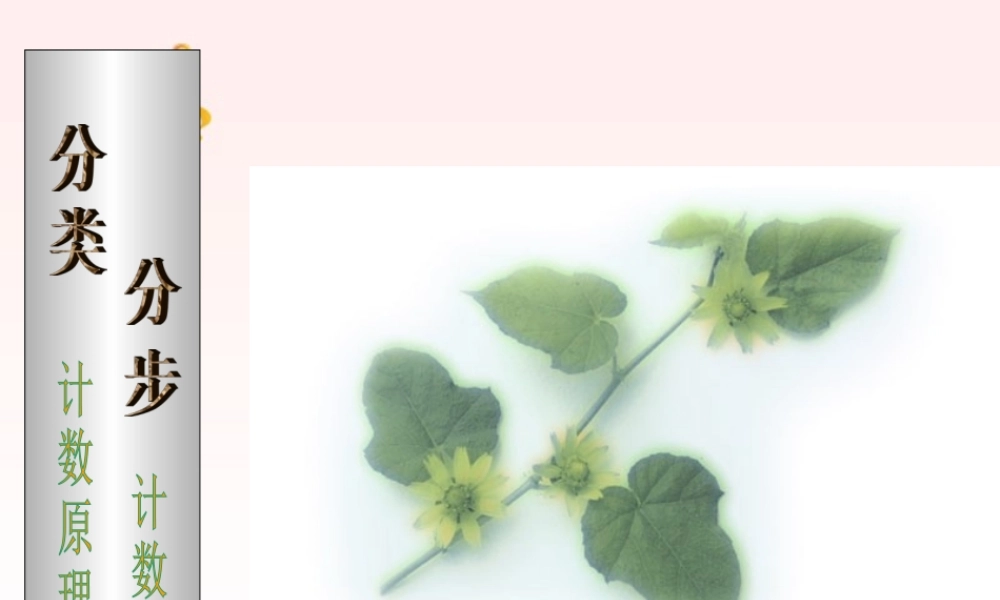 浙江省台州地区高二数学下学期排列组合第一课时 人教版 课件