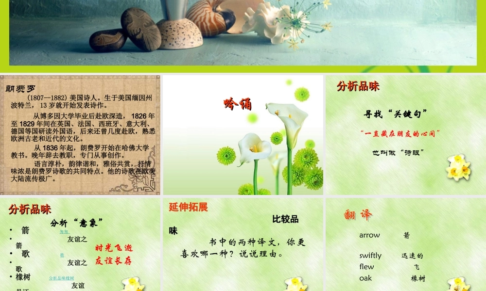 高中语文 第二专题 此情可待成追忆 箭与歌精品课件 苏教版必修5 课件