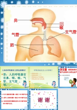2有趣的呼吸器官